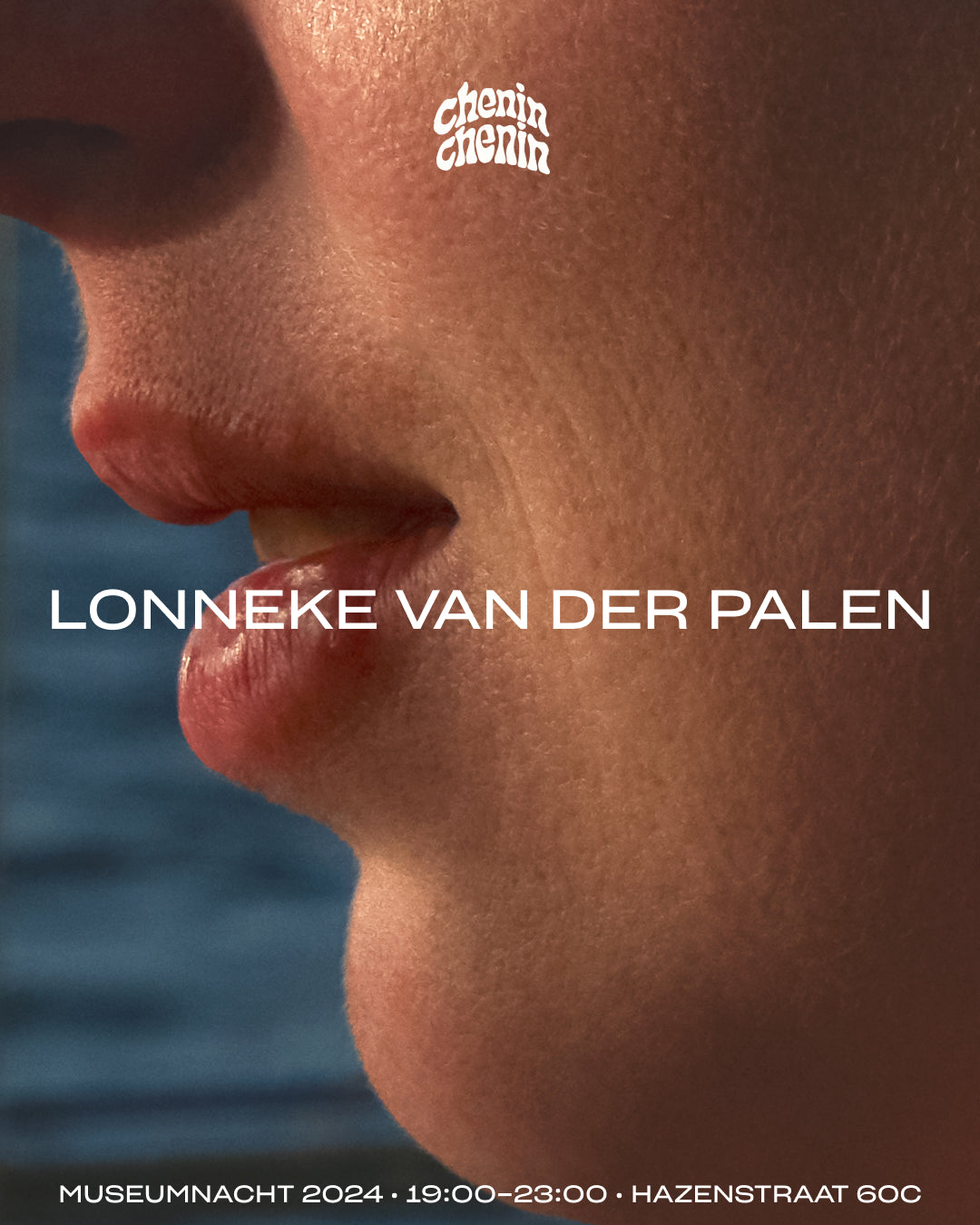 CHENIN MUSEUM presents Lonneke van der Palen - Nov 2