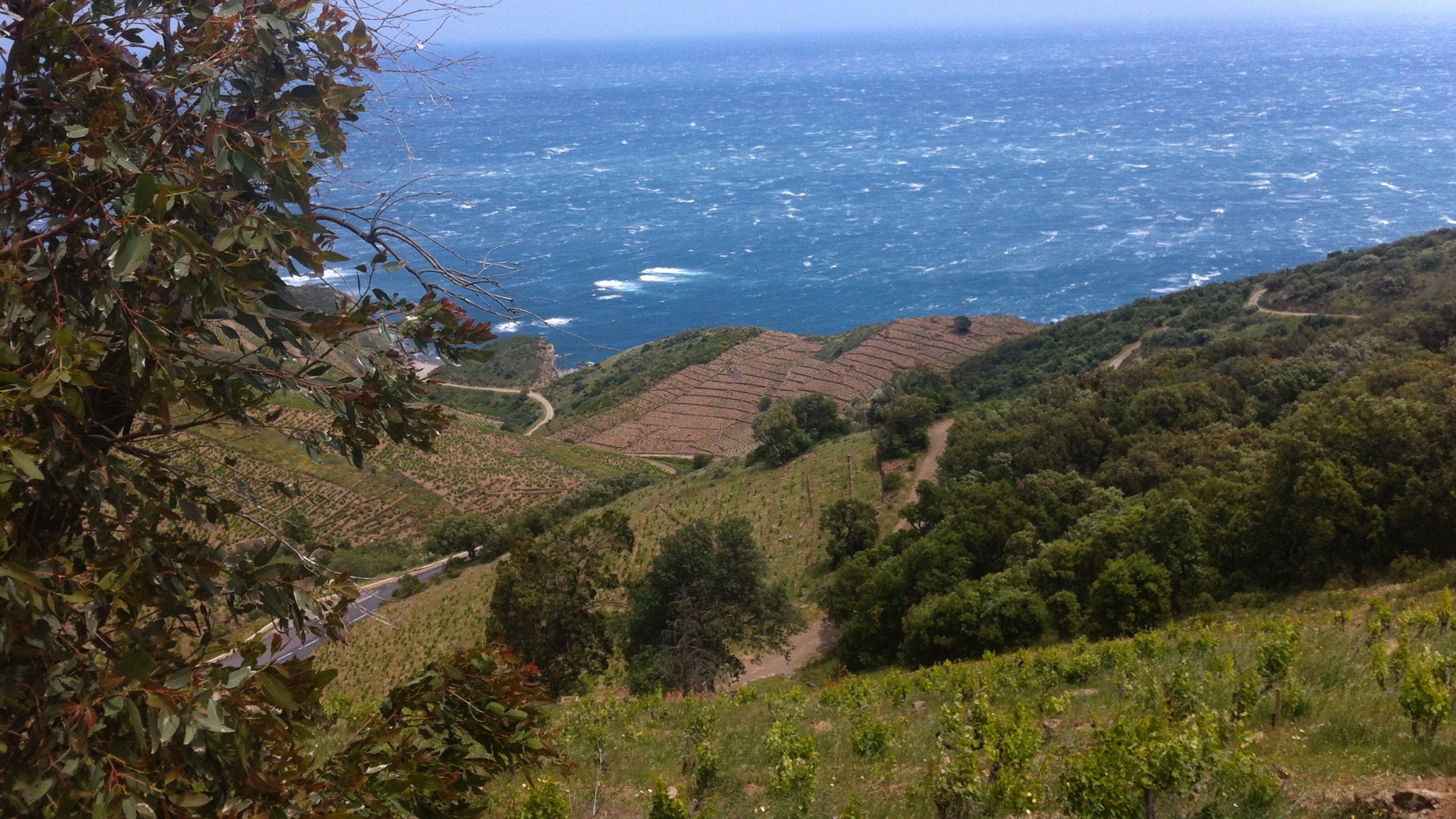 Casot des Mailloles at Chenin Chenin